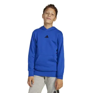 adidas Essentials Kids Hoodie