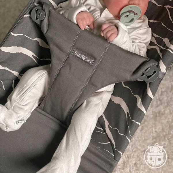 Bouncer Bliss with Extra Seat Fabric Bundle