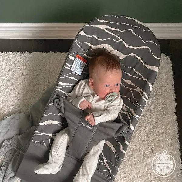 Bouncer Bliss with Extra Seat Fabric Bundle