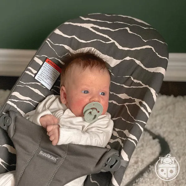 Bouncer Bliss with Extra Seat Fabric Bundle