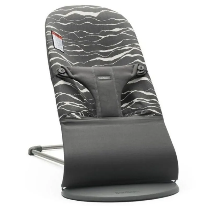 Bouncer Bliss with Extra Seat Fabric Bundle