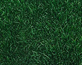Grass Floor