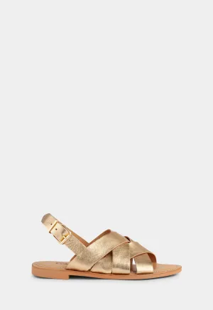 Josh - Gold