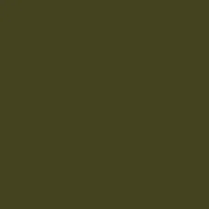 Little Greene Olive Paint 72