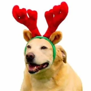 Outward Hound Christmas Holiday Antler