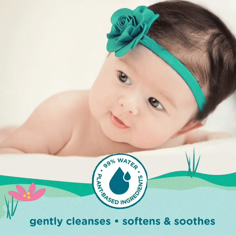 Parent's Choice Fragrance Free Baby Wipes 240 Count