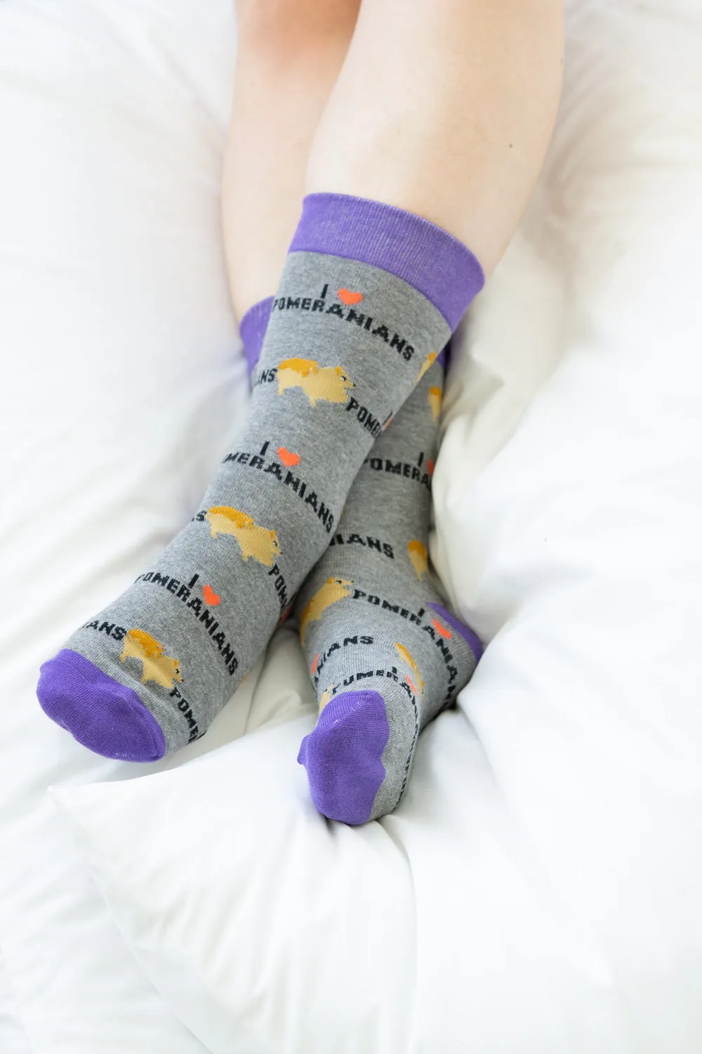 Pomeranian Socks