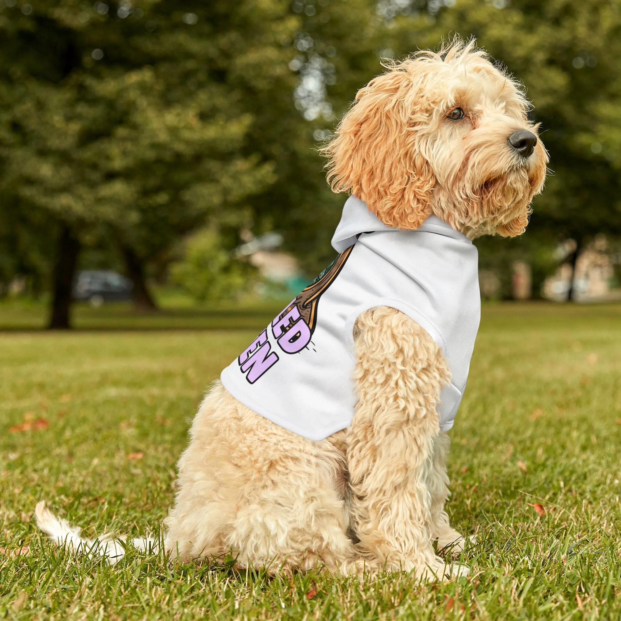 'Spoiled Rotten' Pet Hoodie