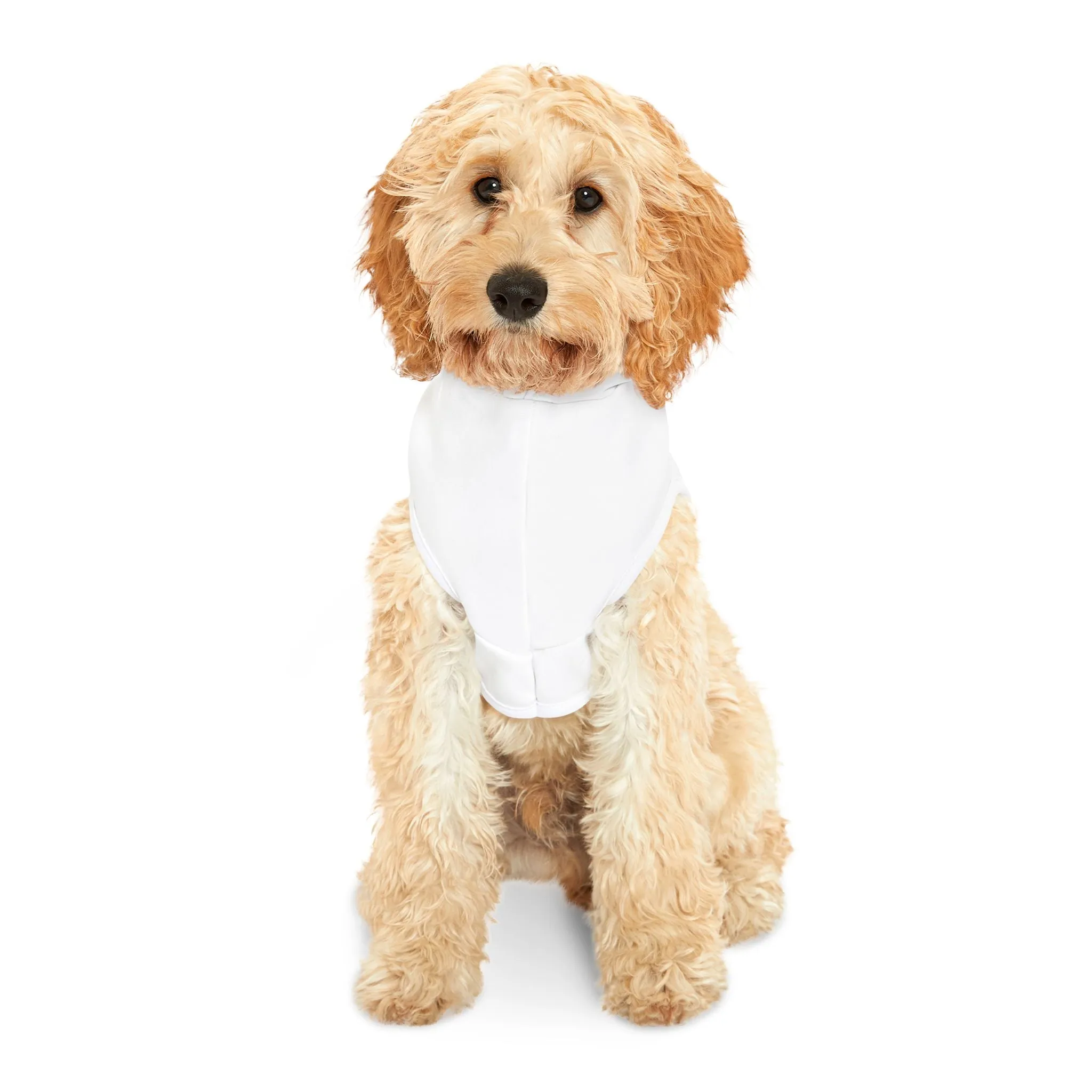 'Spoiled Rotten' Pet Hoodie